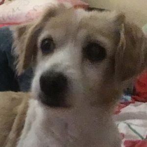 Meet your Posher, Itzel